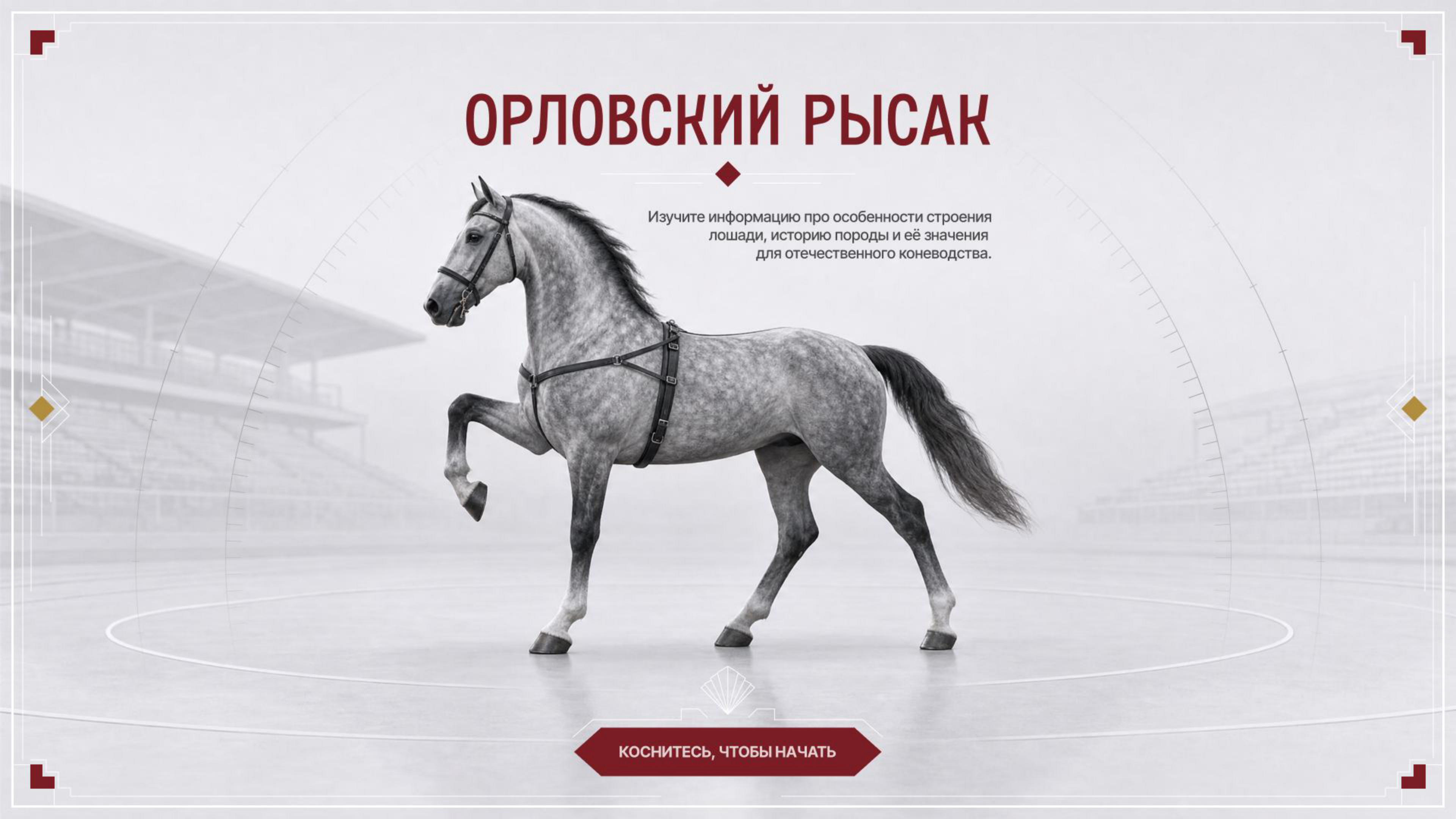 Экран «Орловский рысак»: серый в яблоках рысак на фоне трибун и кнопка «Коснитесь, чтобы начать»
