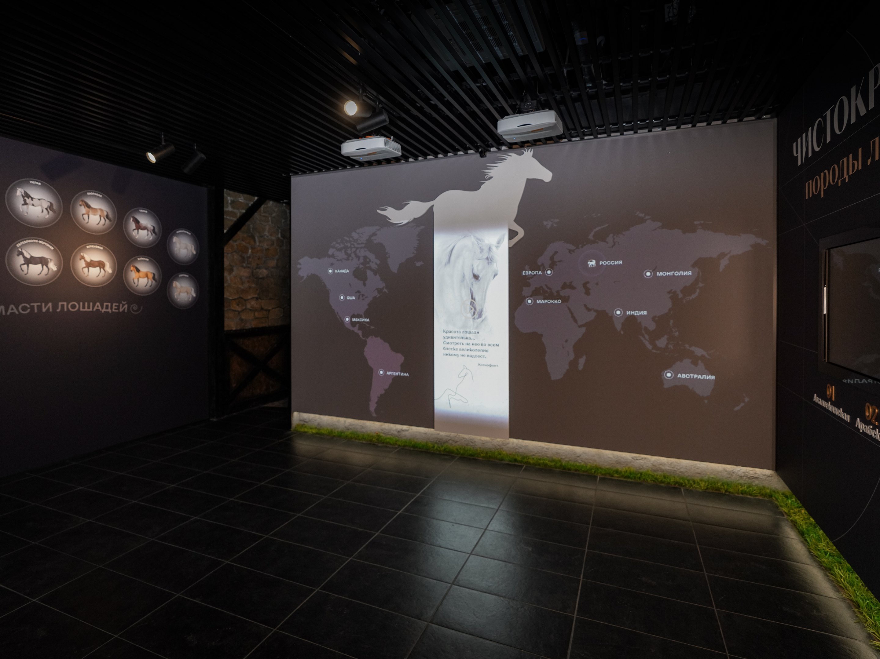 “Breed groups”: the wall with the breed map and projection