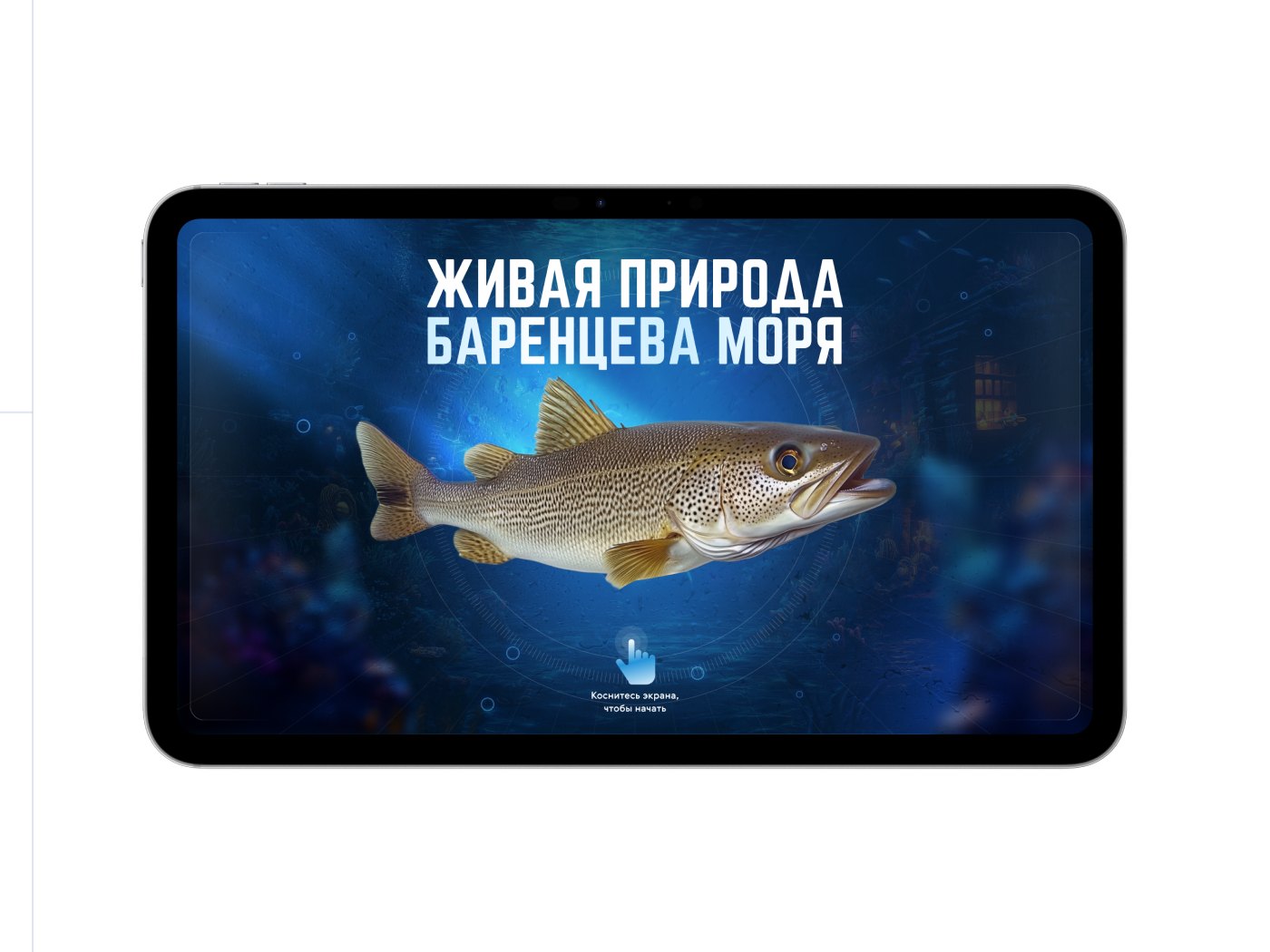 Интерфейс экранов «Живая природа Баренцева моря» у диорамы морского дна
