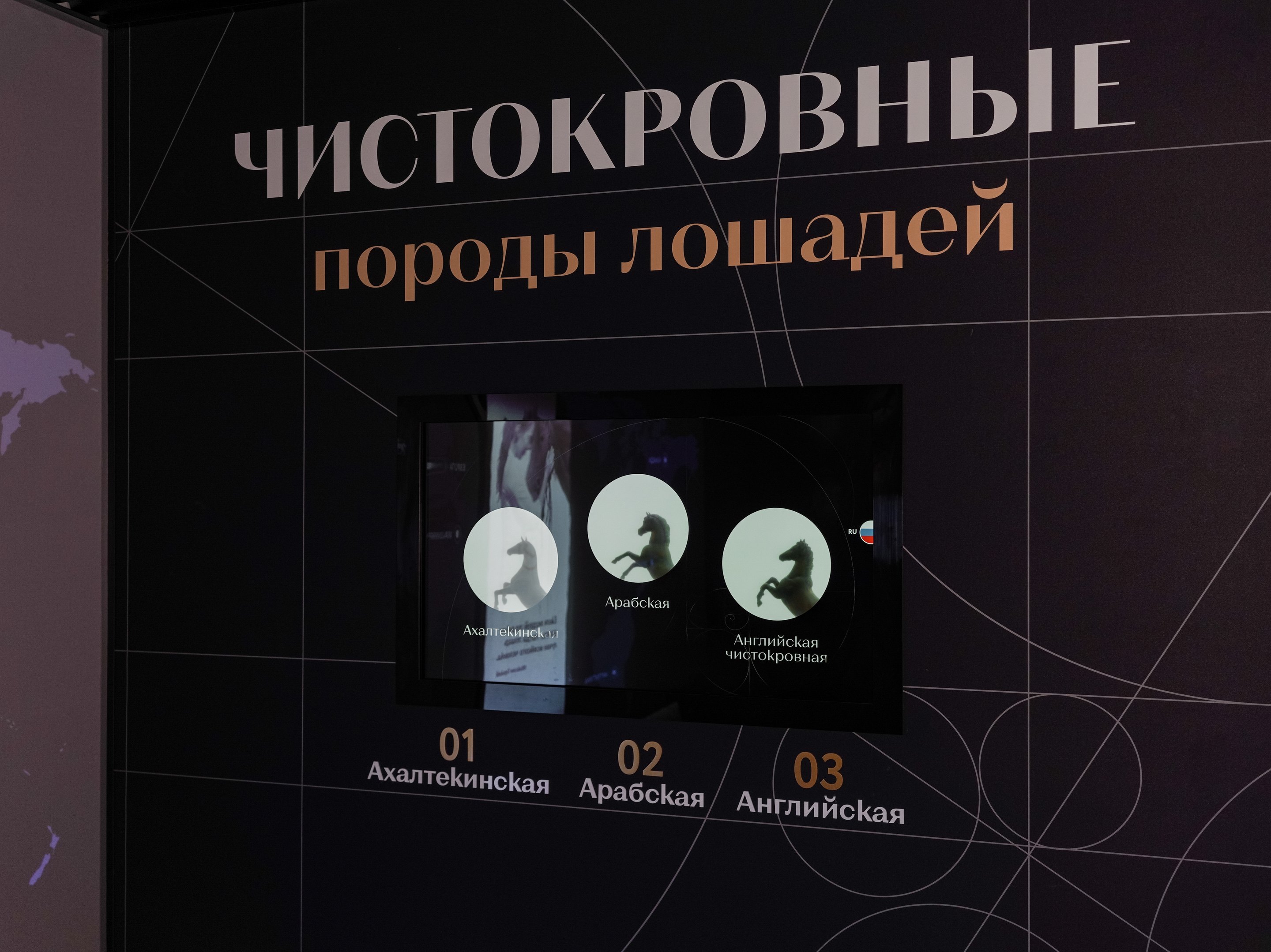 “Three breeds”: the transparent touch screen “Purebred horse breeds”