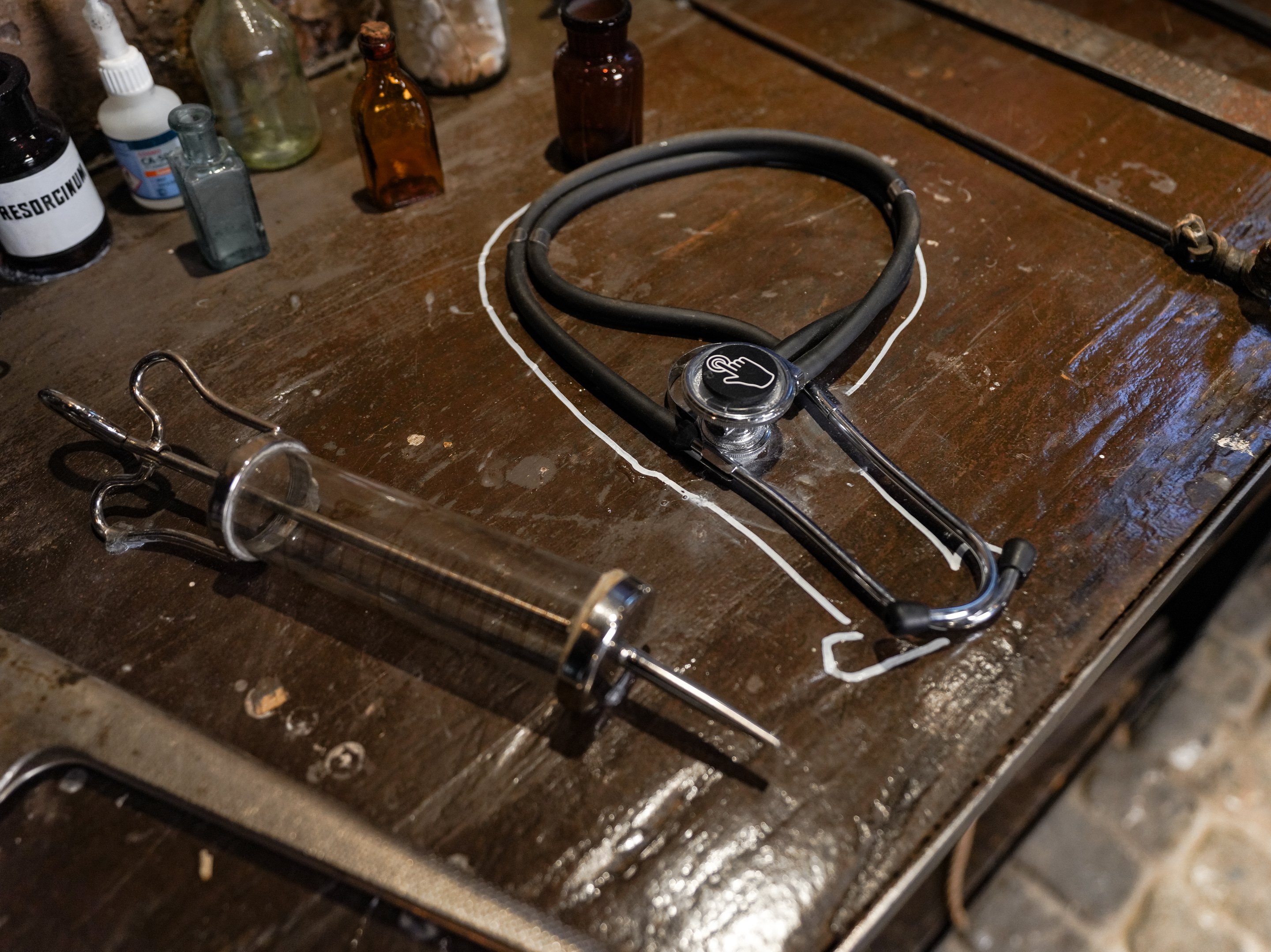 “Professions in the world of horses”: the vet’s tools, a touch marker on the stethoscope