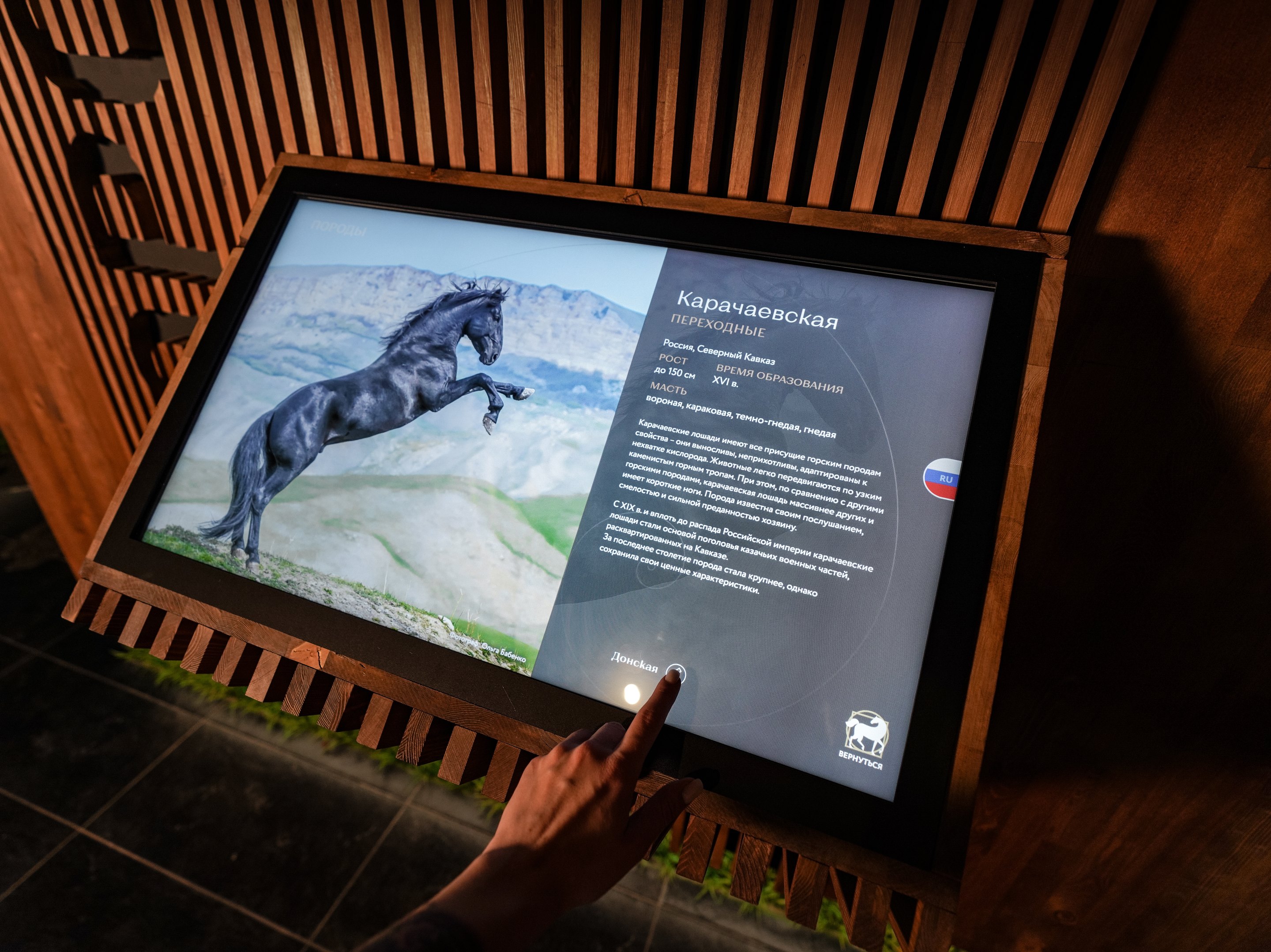 “Breed groups”: touch screen, the Karachay breed card