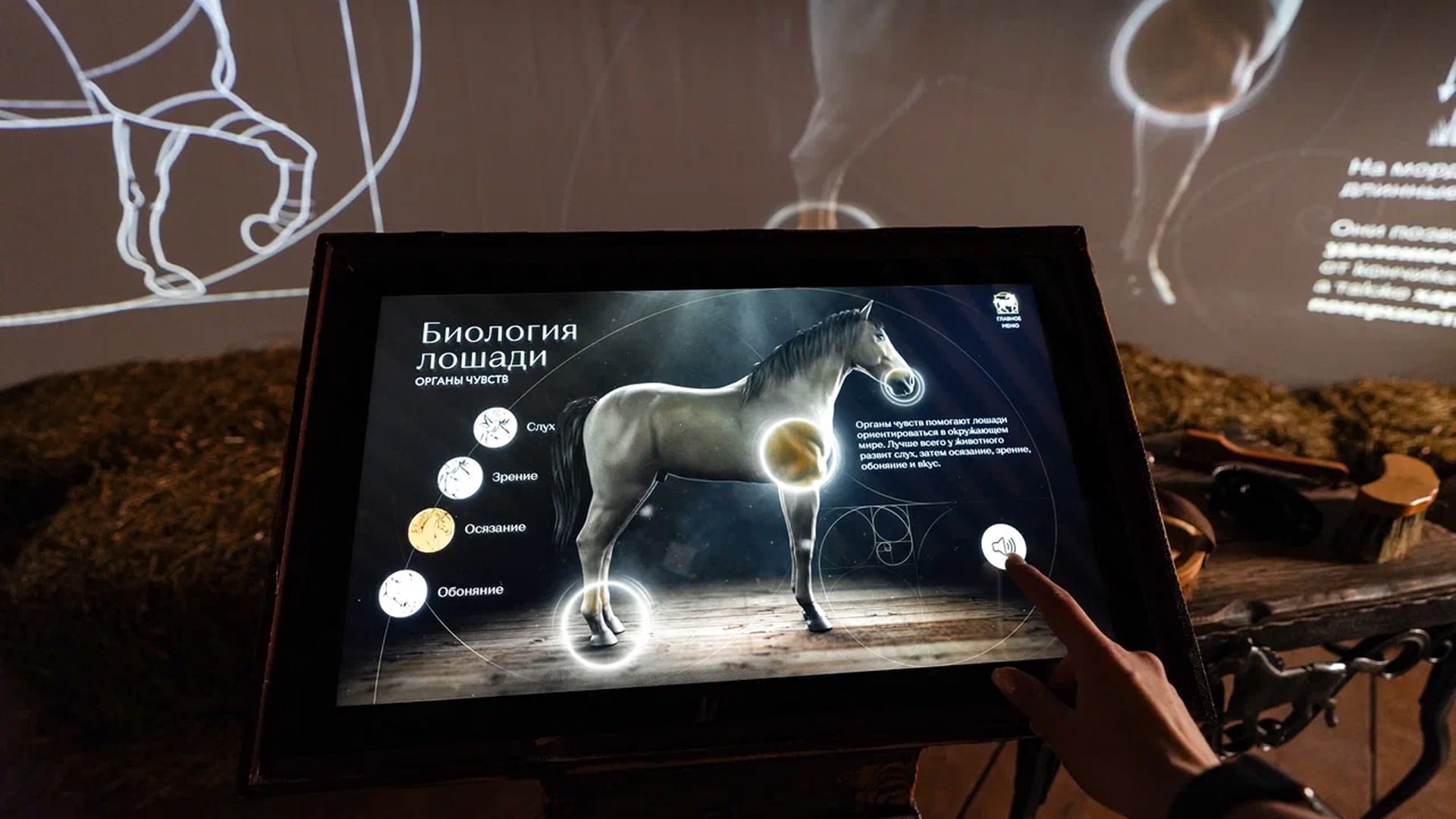 Масштаб - фото 6