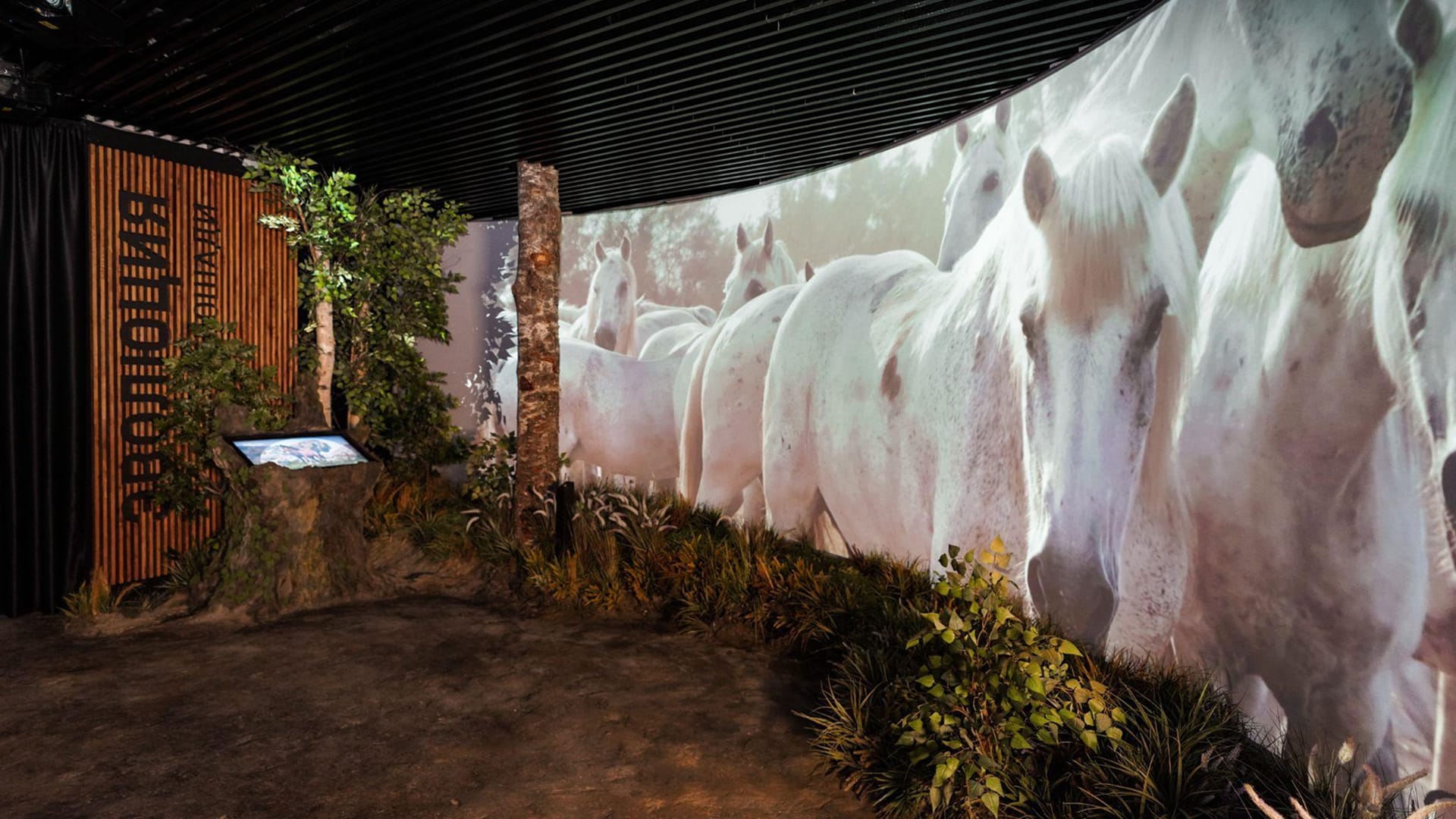 Решение - фото 1