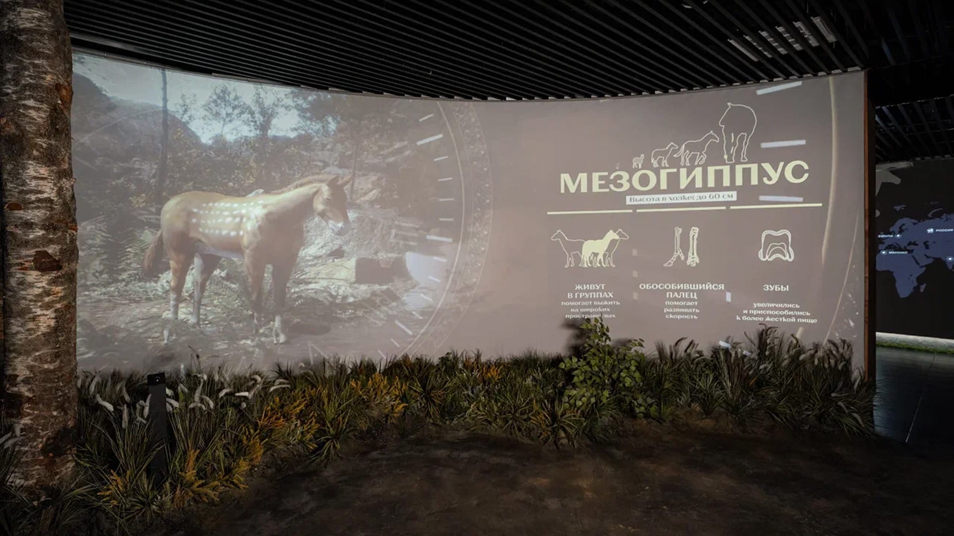 Решение - фото 2