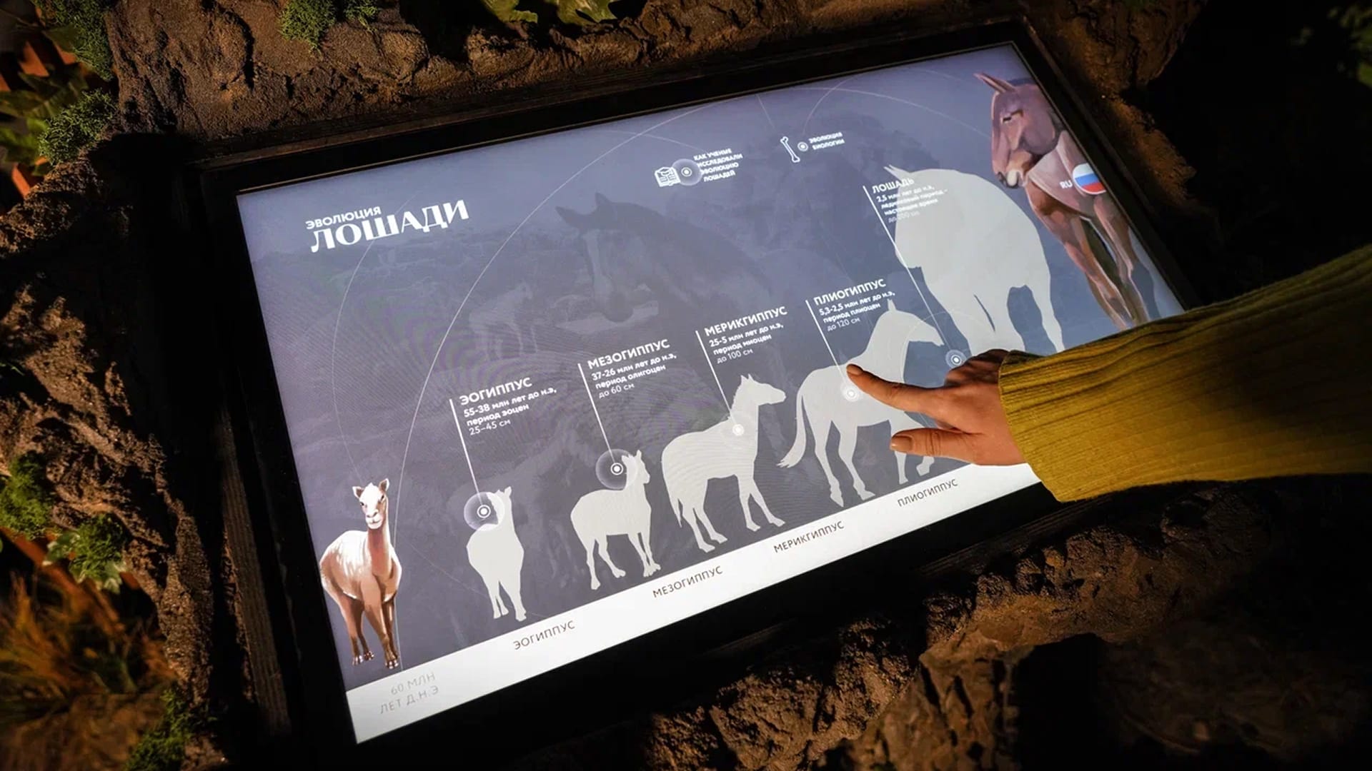 Решение - фото 3