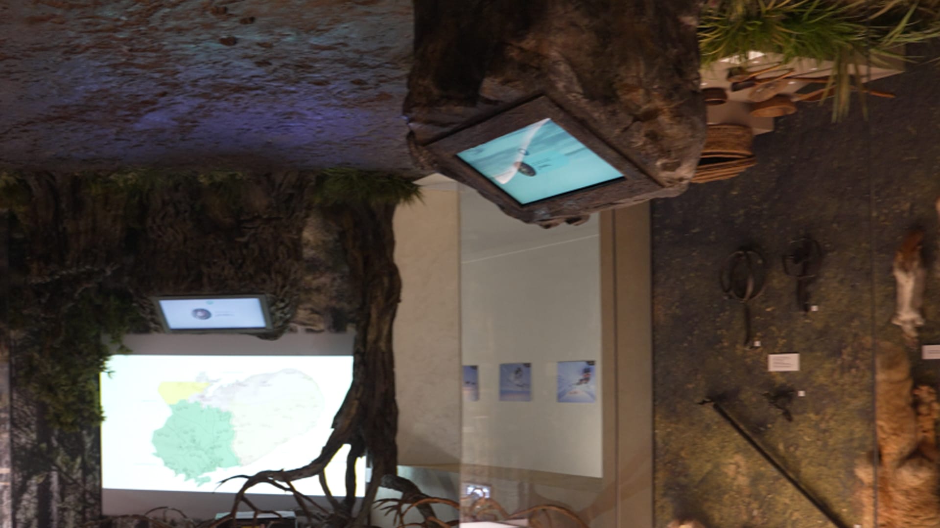 Результат - 16