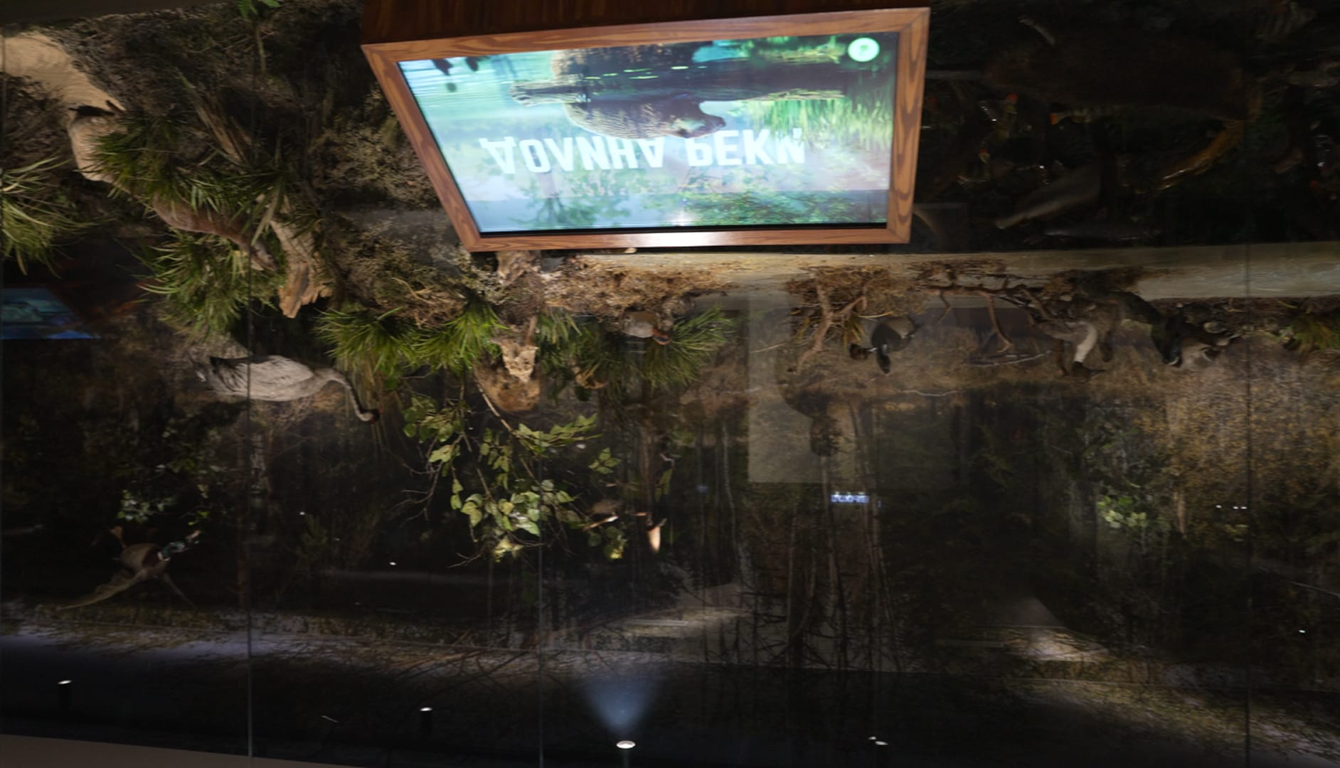 Результат - 26