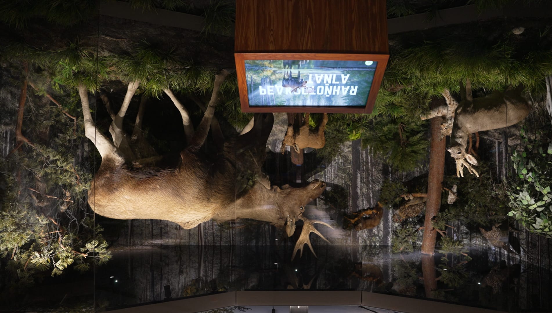 Результат - 27