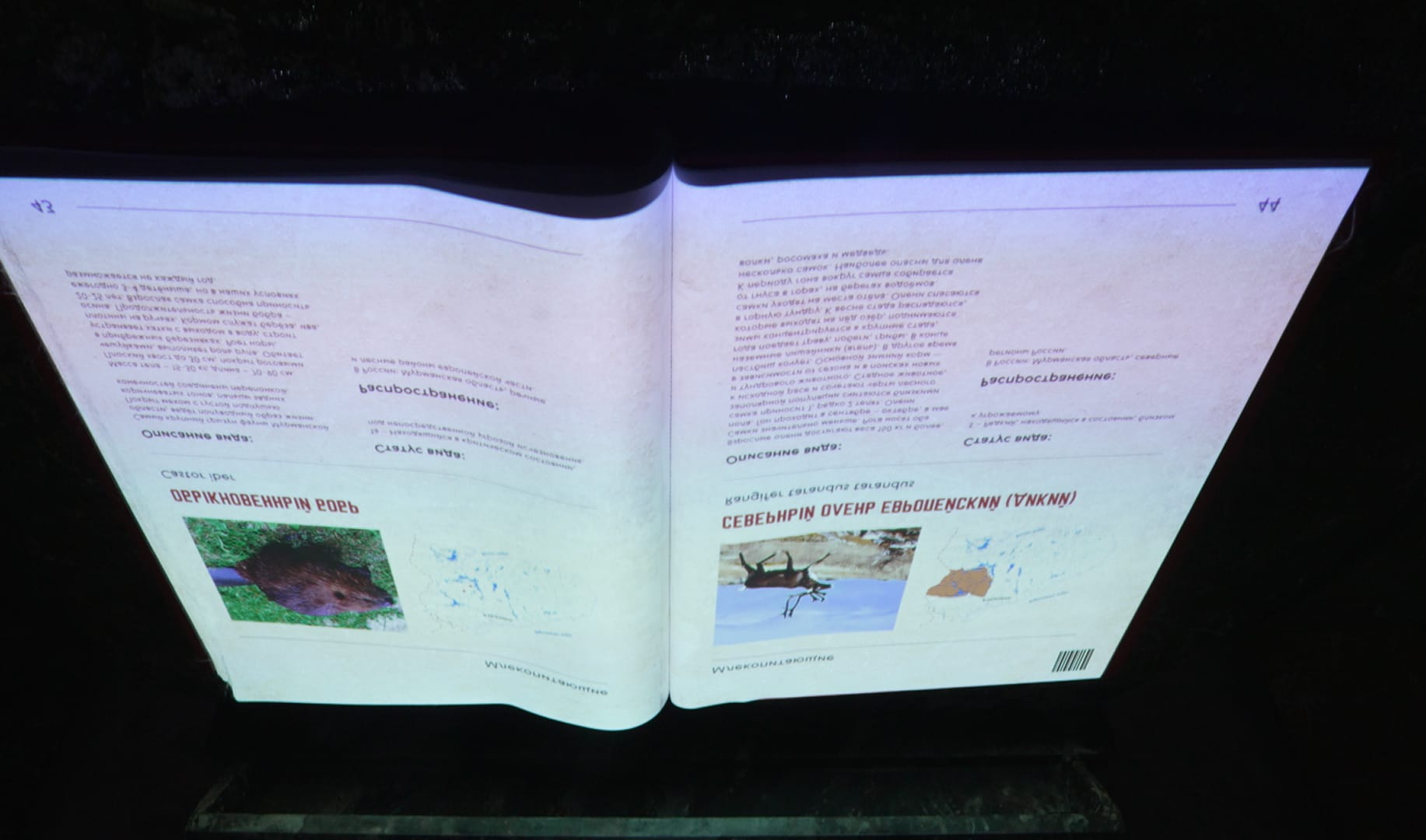 Результат - 4