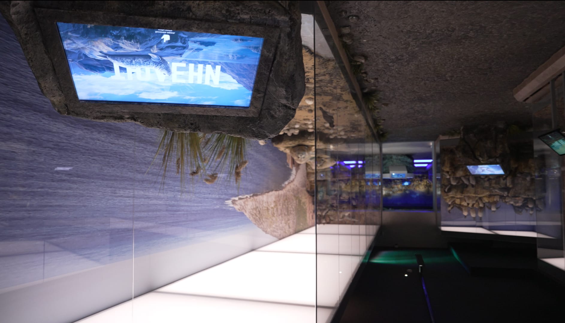 Результат - 5