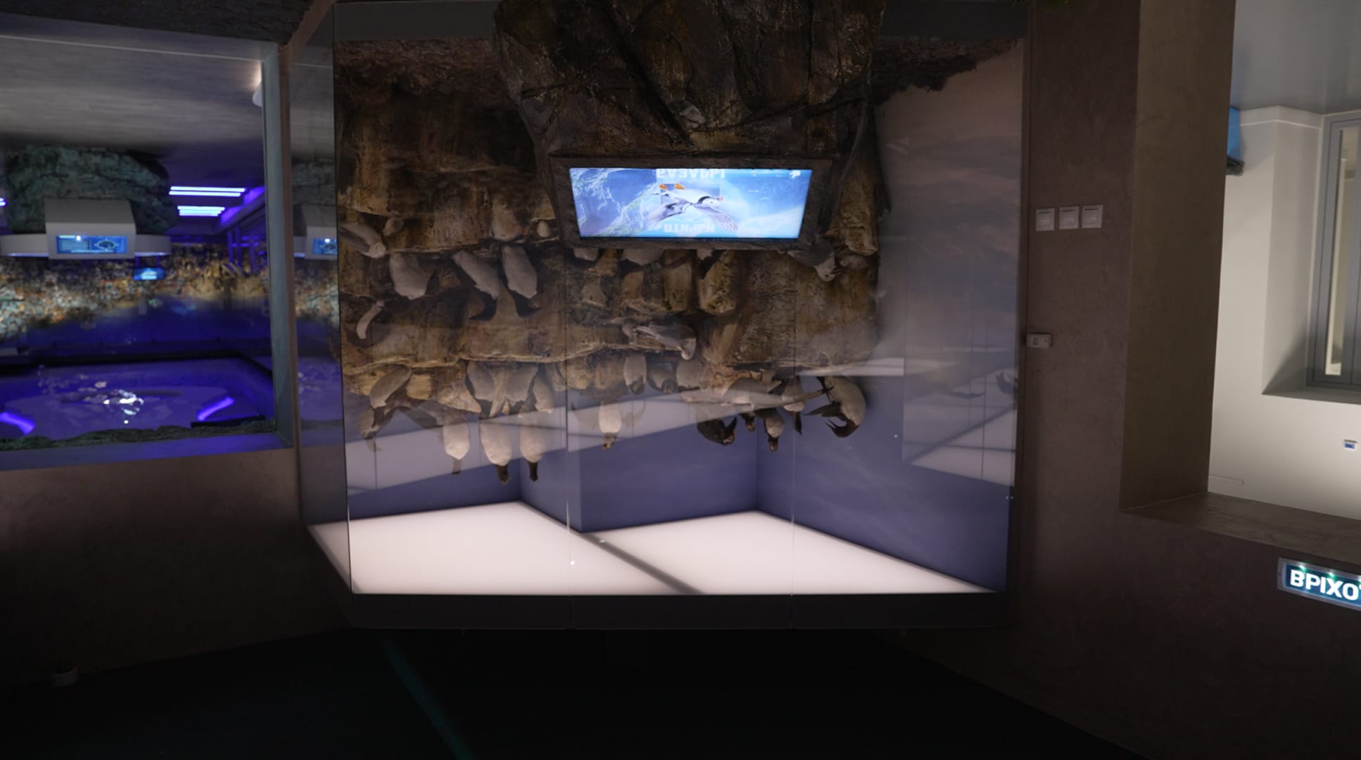 Результат - 6