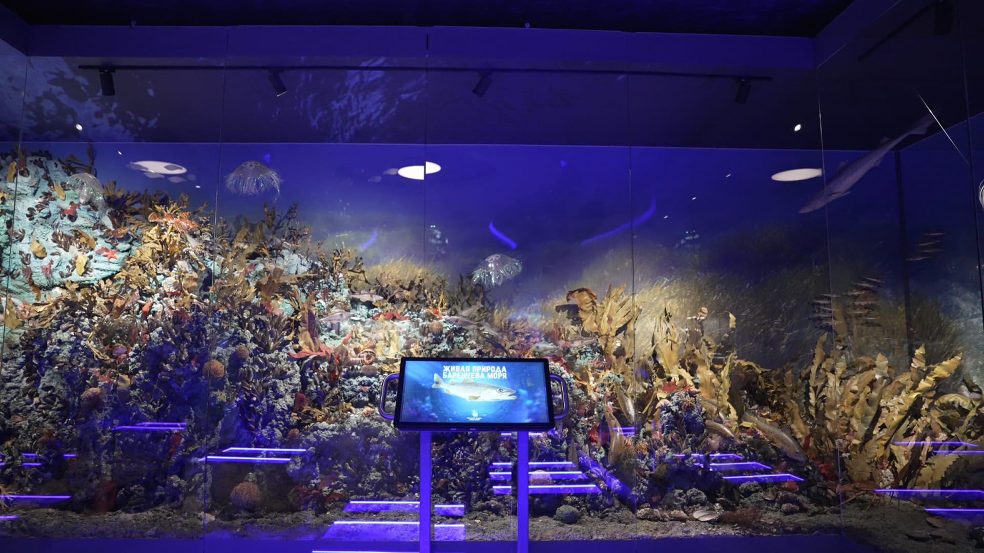 Структура стенда - 5